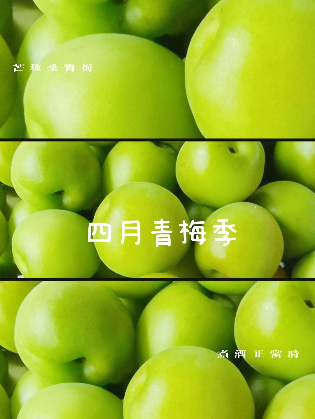 零失败【青梅酒 & 梅子露】梅子的沉淀岁月