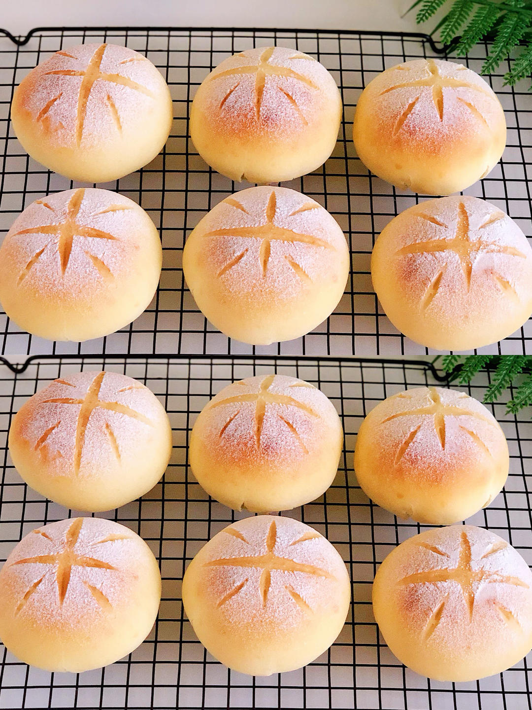 超软蔓越莓乳酪夹心软欧面包，一次发酵简易版，超软久放不变硬巨好吃