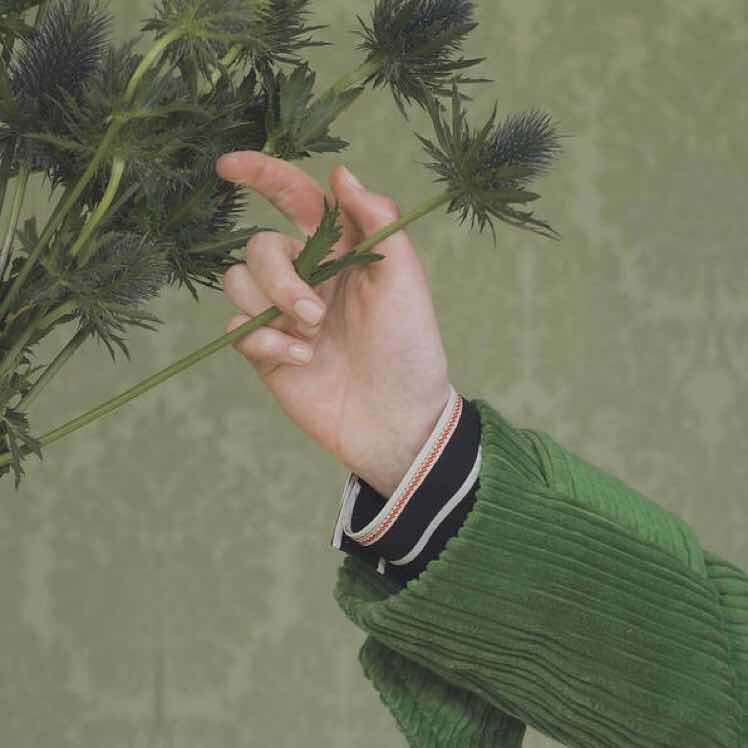 王玫玫玫瑰鱼︴