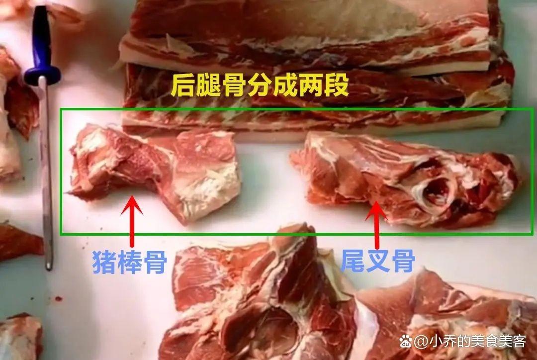 【猪骨的部位图解与做法（来自度娘）的做法步骤图】金色山茶花_下厨房
