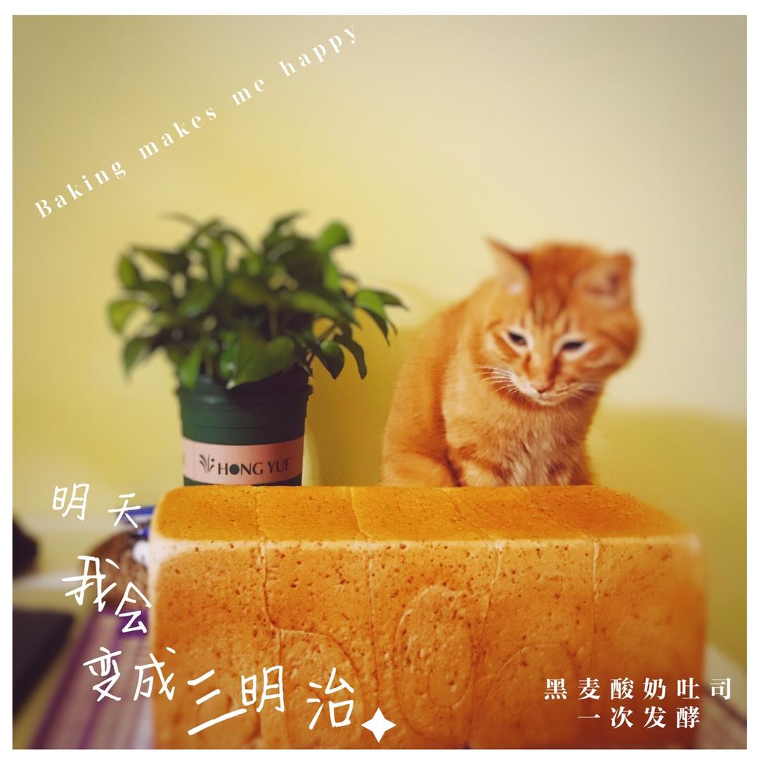 无糖黑麦吐司---超快手一次发酵