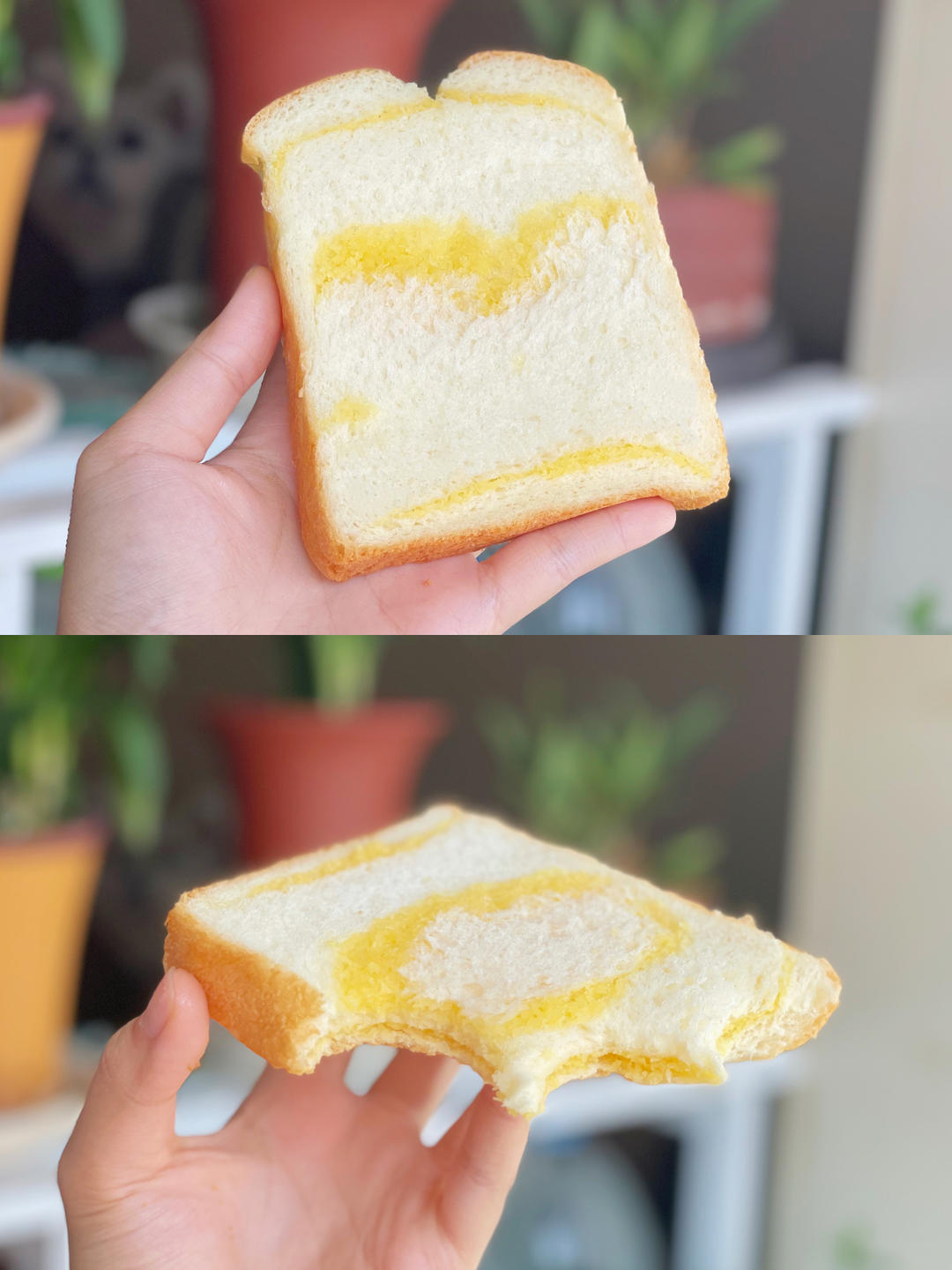 顶级黄金椰蓉吐司