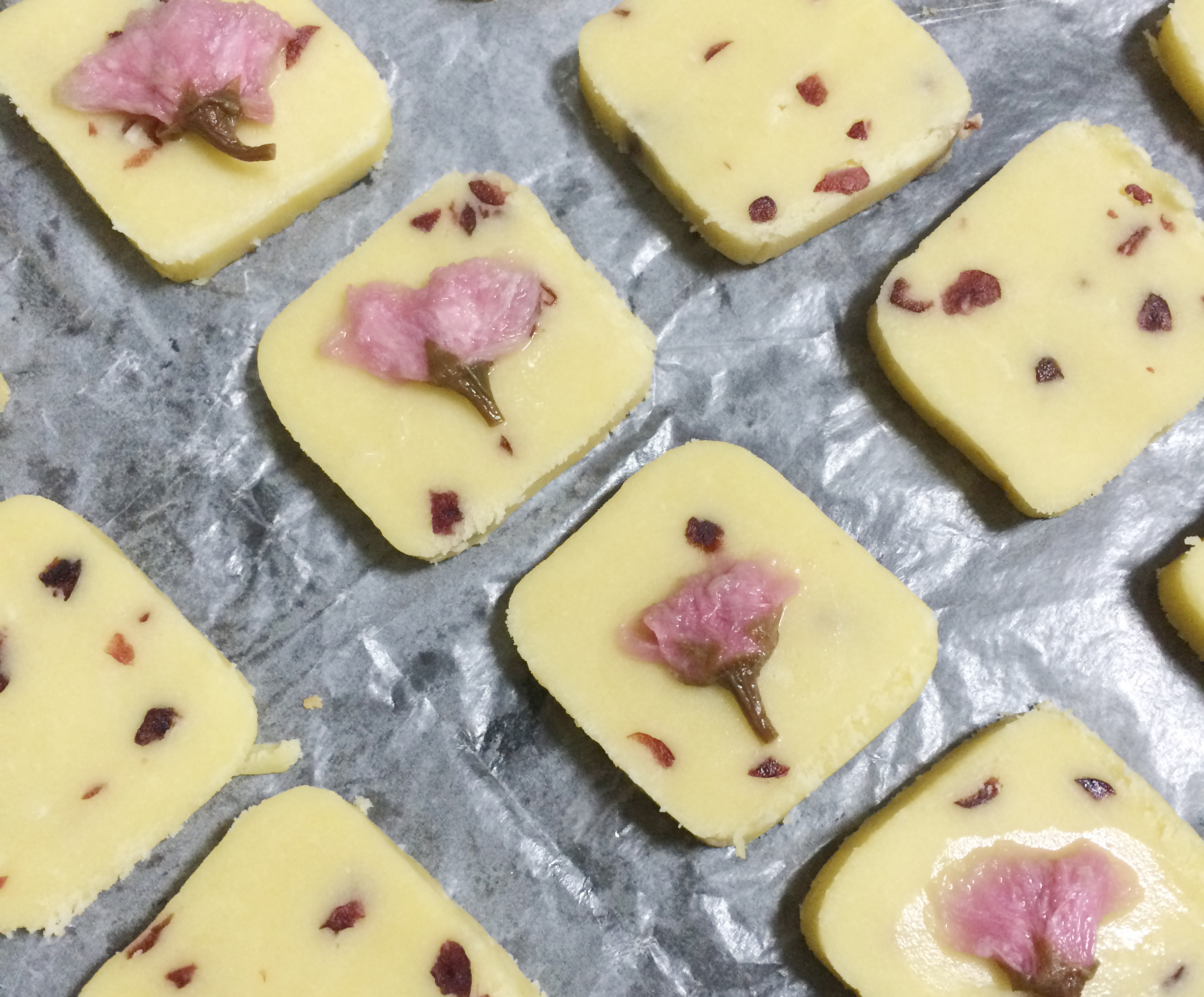 多口味黄油蔓越莓曲奇简单易操作的做法 步骤17