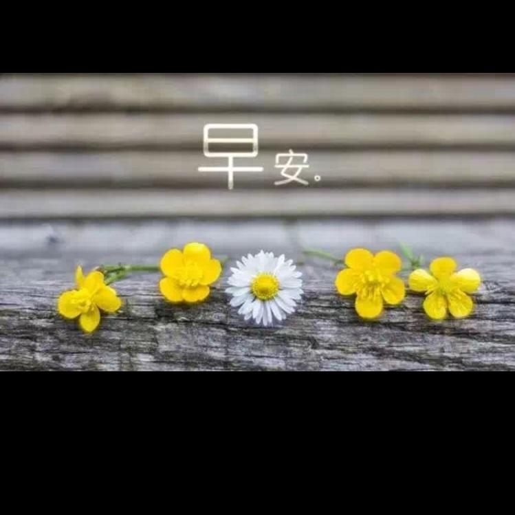 手机用户0870_qsvp