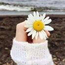 手机用户8021_moel