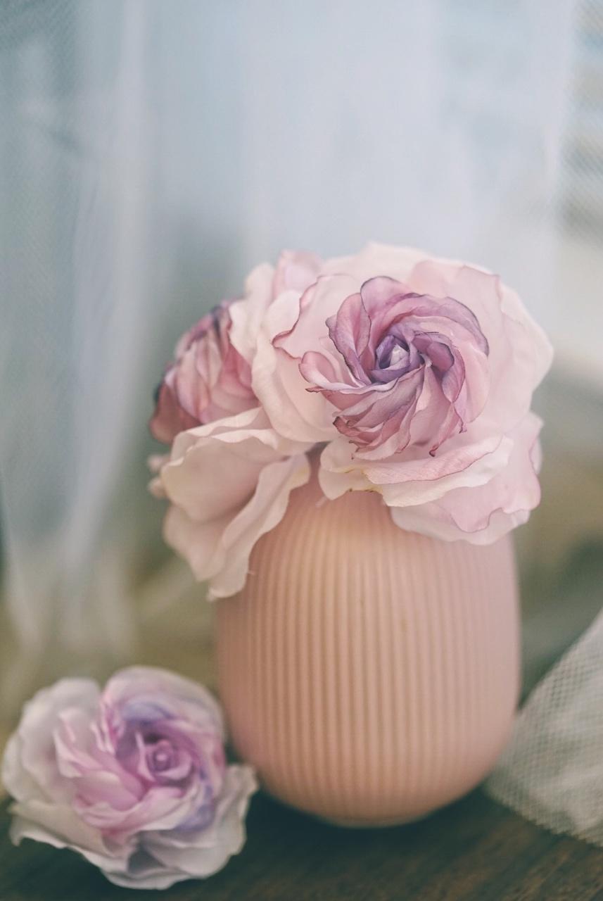 相机吃的菜哦(◍•ᴗ•◍)