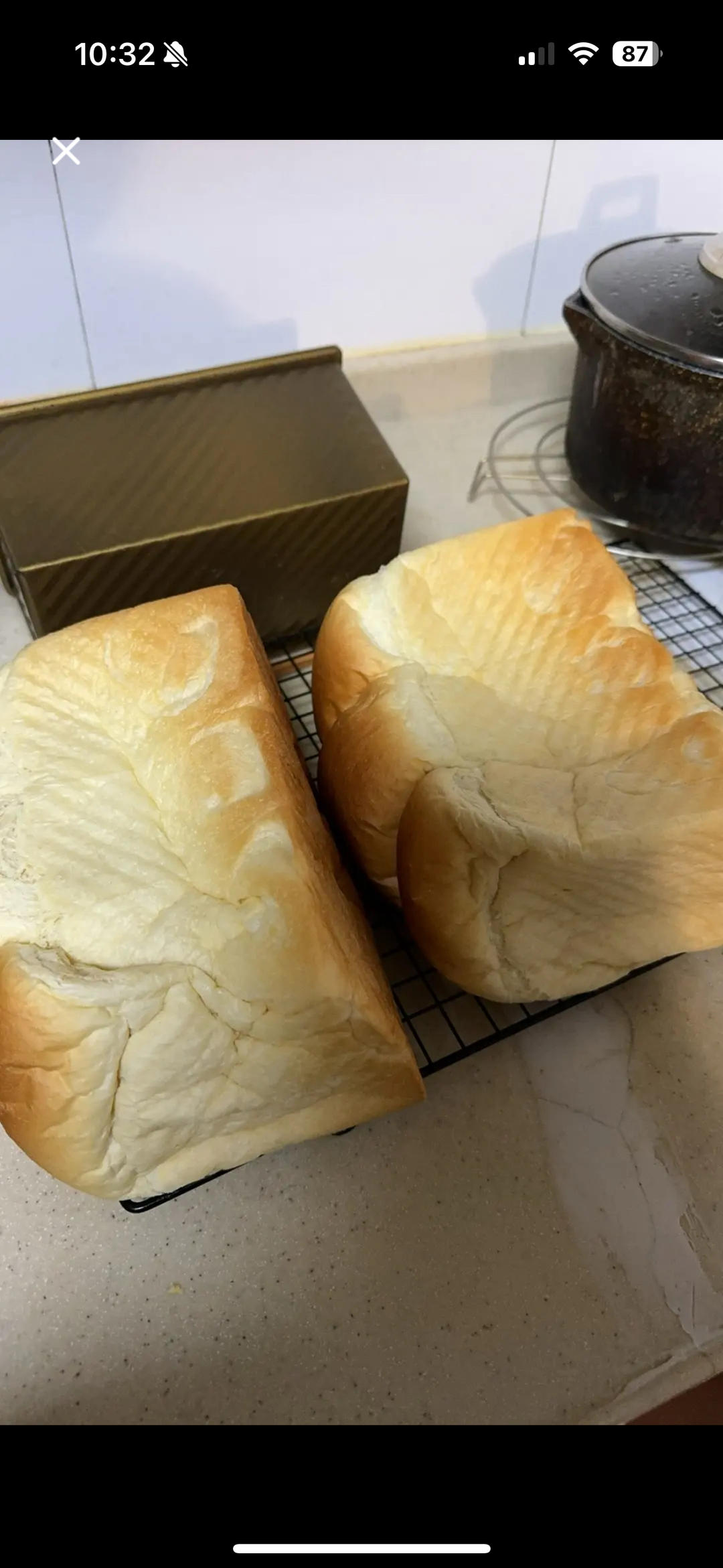 波兰种北海道吐司