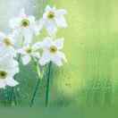 手机用户5123_94h6