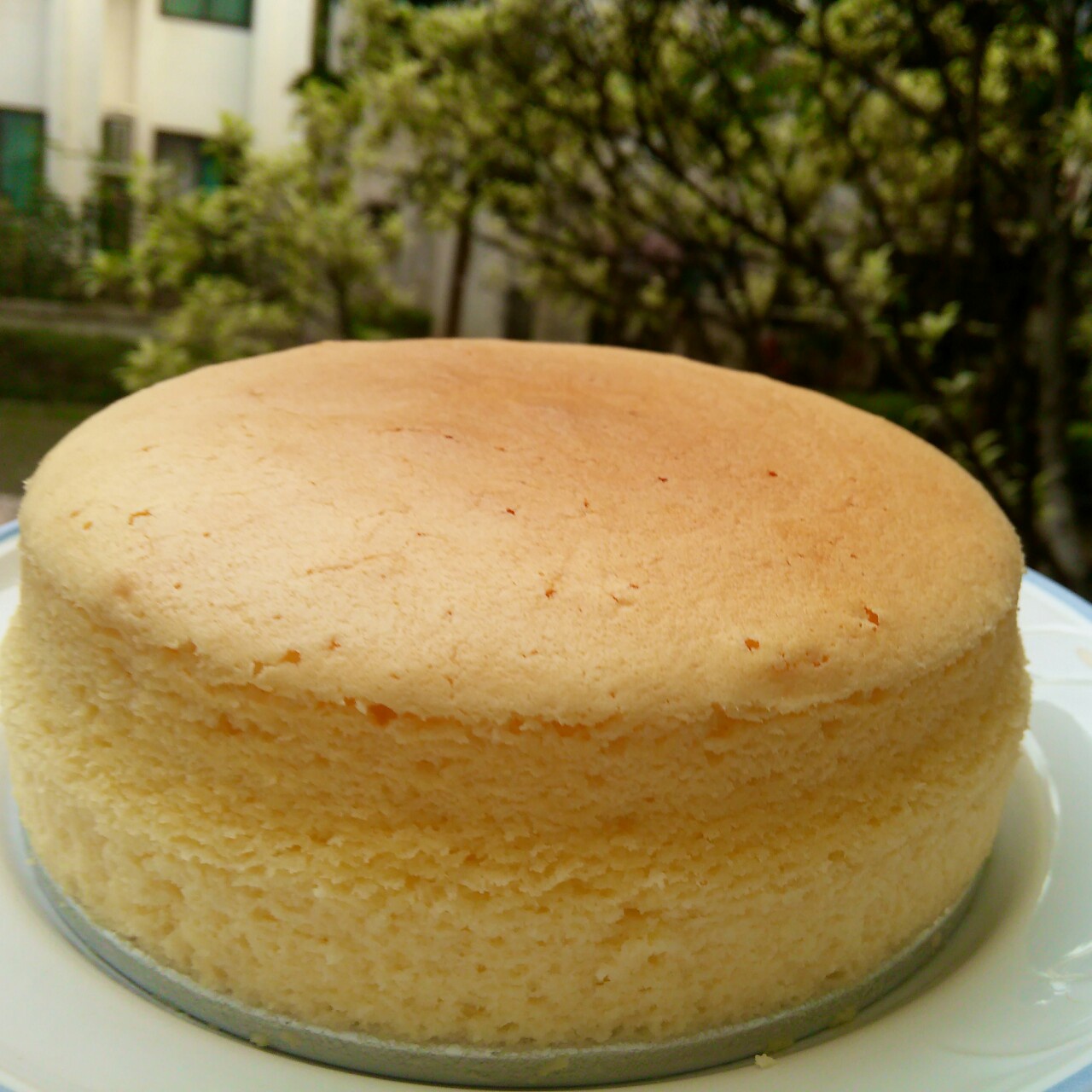 轻乳酪芝士蛋糕6寸#皮黑森林#