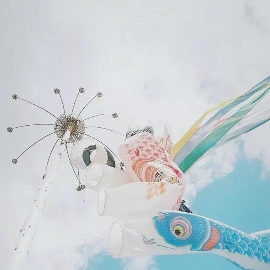 南宫羽月