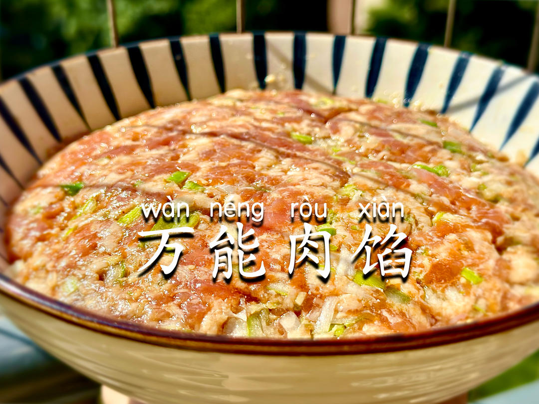 猪肉大葱馅饺子｜万能肉馅😁