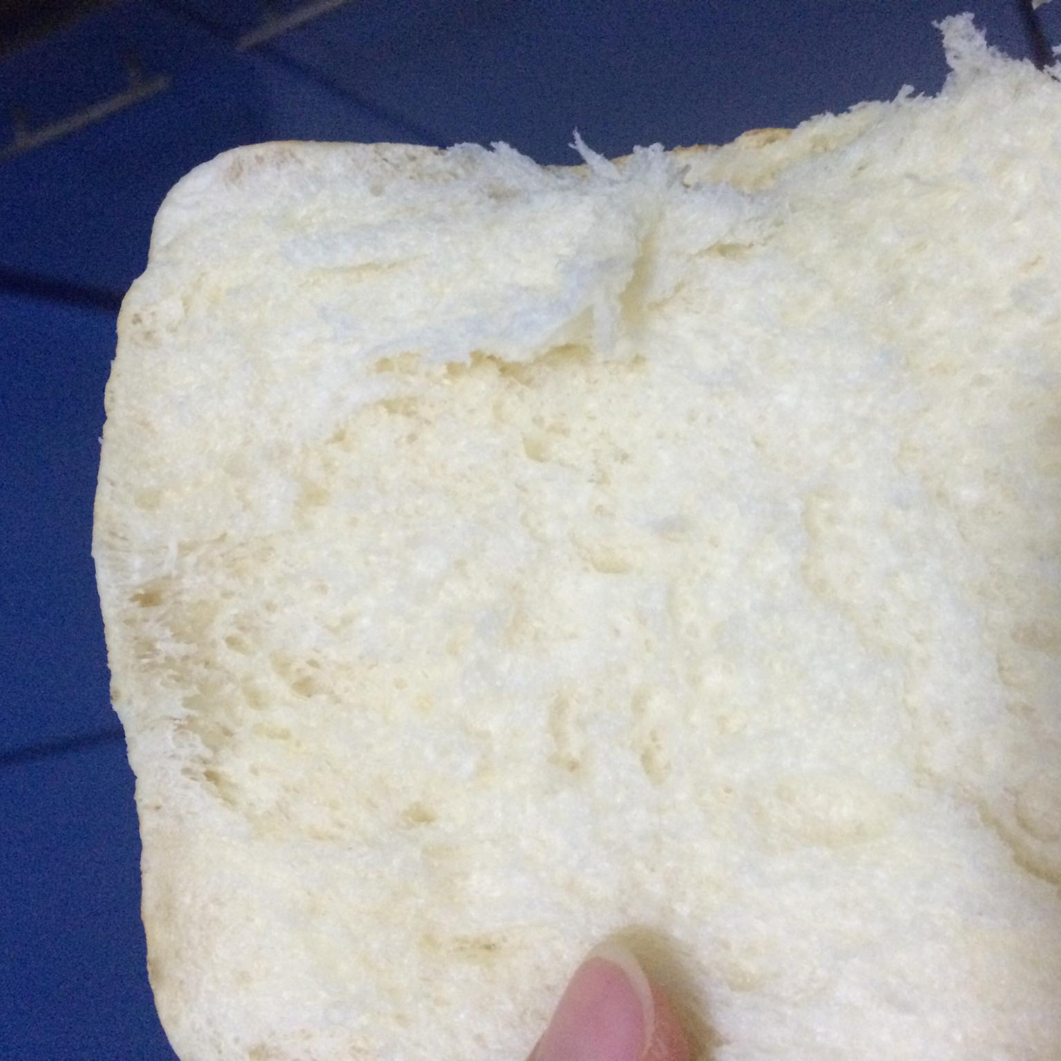 100%中种北海道吐司