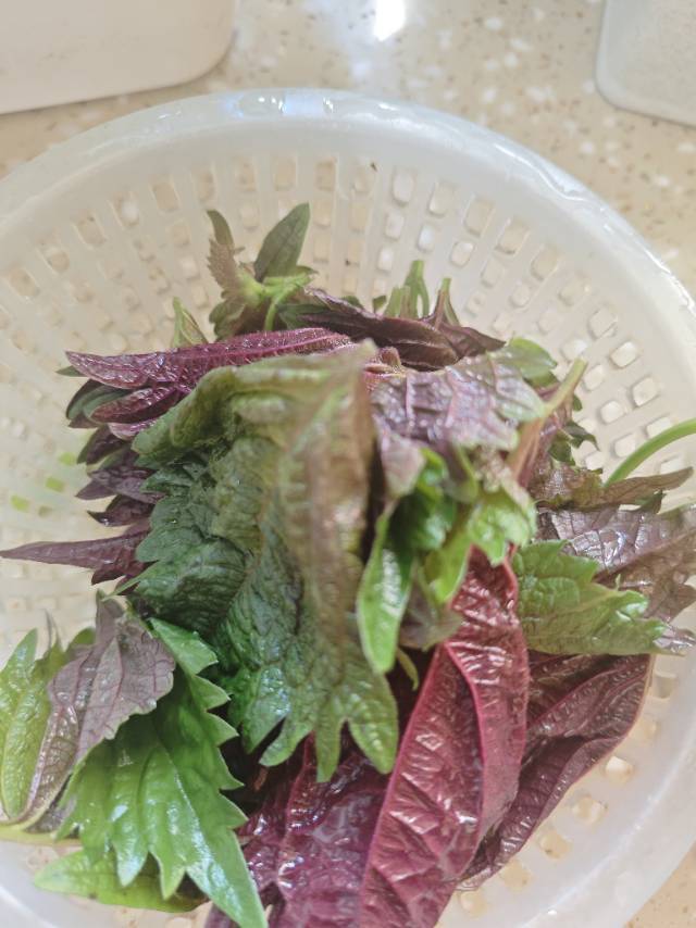 黑暗料理狂热者