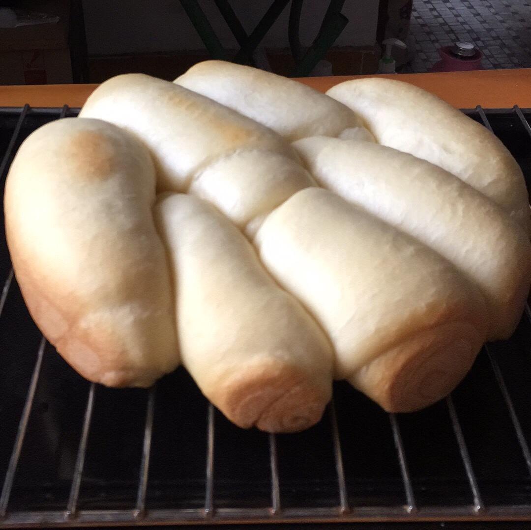 夺命软吐司(๑´ڡ`๑)超软拉丝极速方便的一次发酵吐司