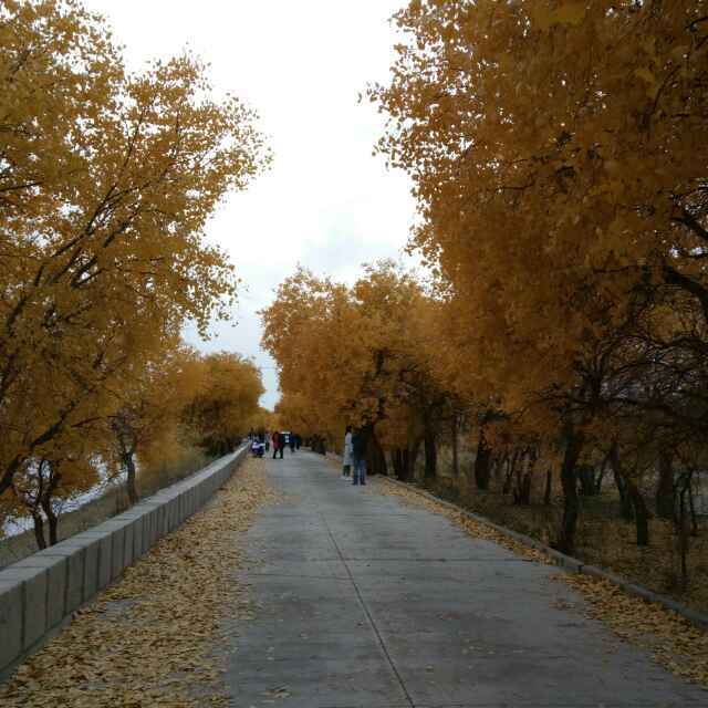 学做饭妈妈