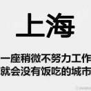 美食萌新