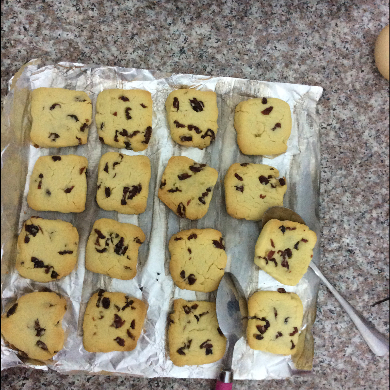 蔓越莓饼干 蔓越莓曲奇