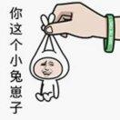 我不要胡萝卜