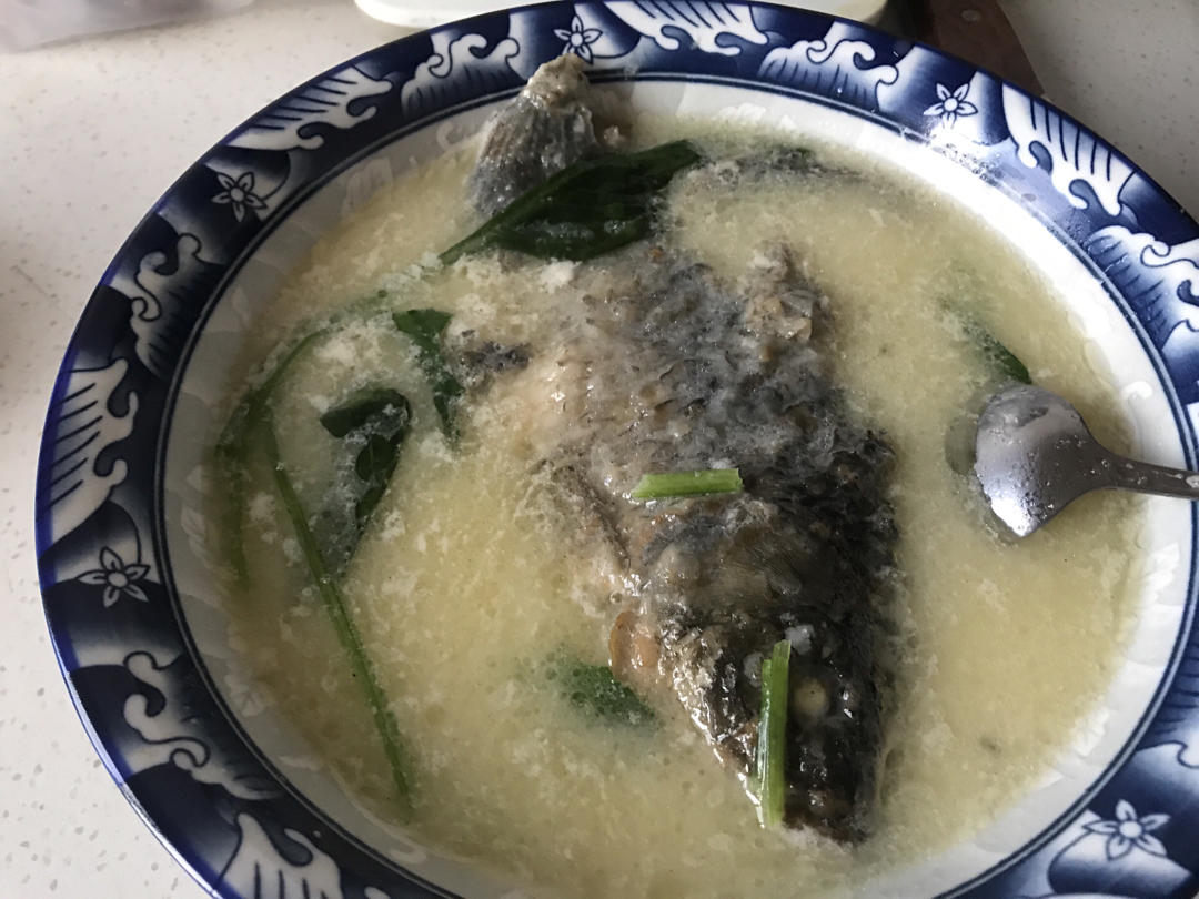 清炖鲫鱼汤 三个关键步骤让你轻松炖出汤浓味鲜色白似奶的鲫鱼汤