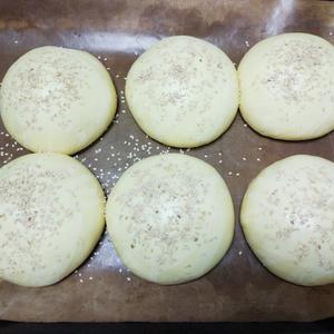 波兰种快手汉堡胚(一次发酵)的做法 步骤3
