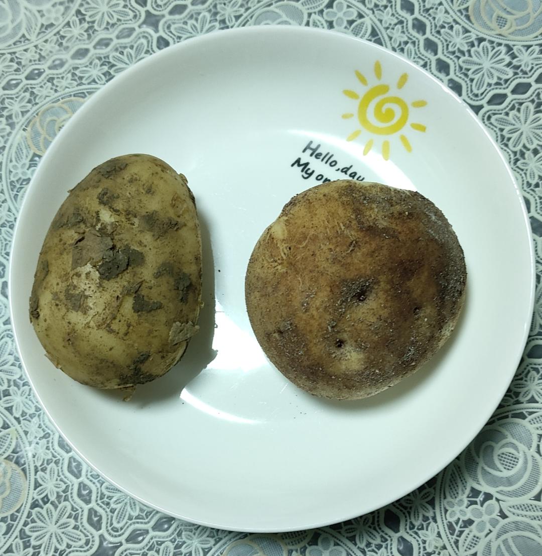 《Tinrry+》仿真土豆面包