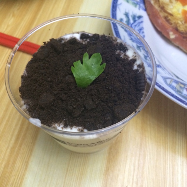 盆栽酸奶