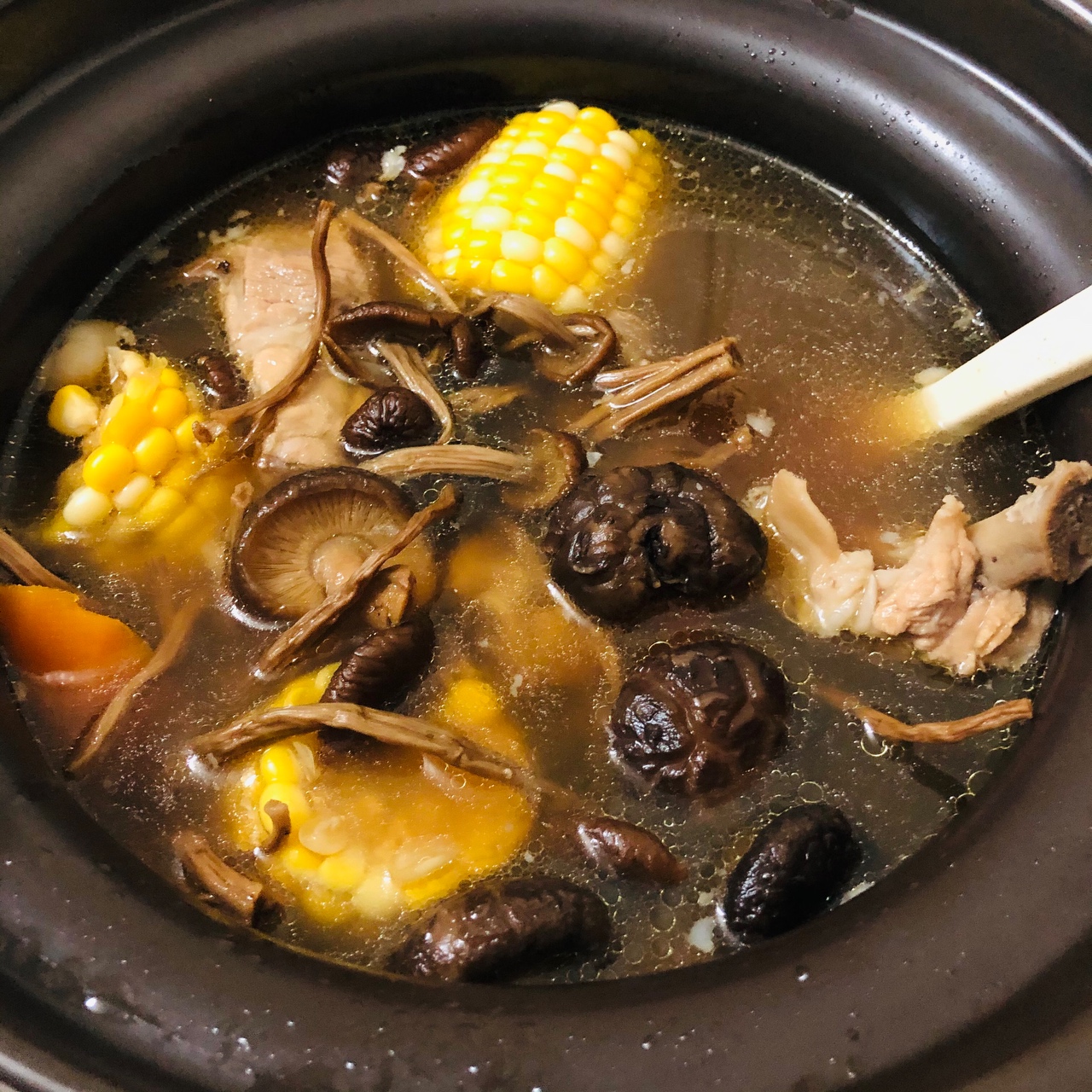 老广菜单每周必备汤水15「茶树菇排骨汤」绝绝子