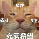 十三君君君