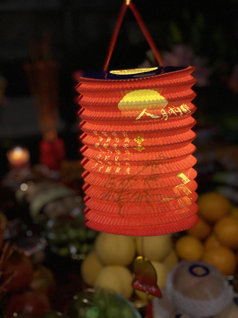 记录生活中的美食美景