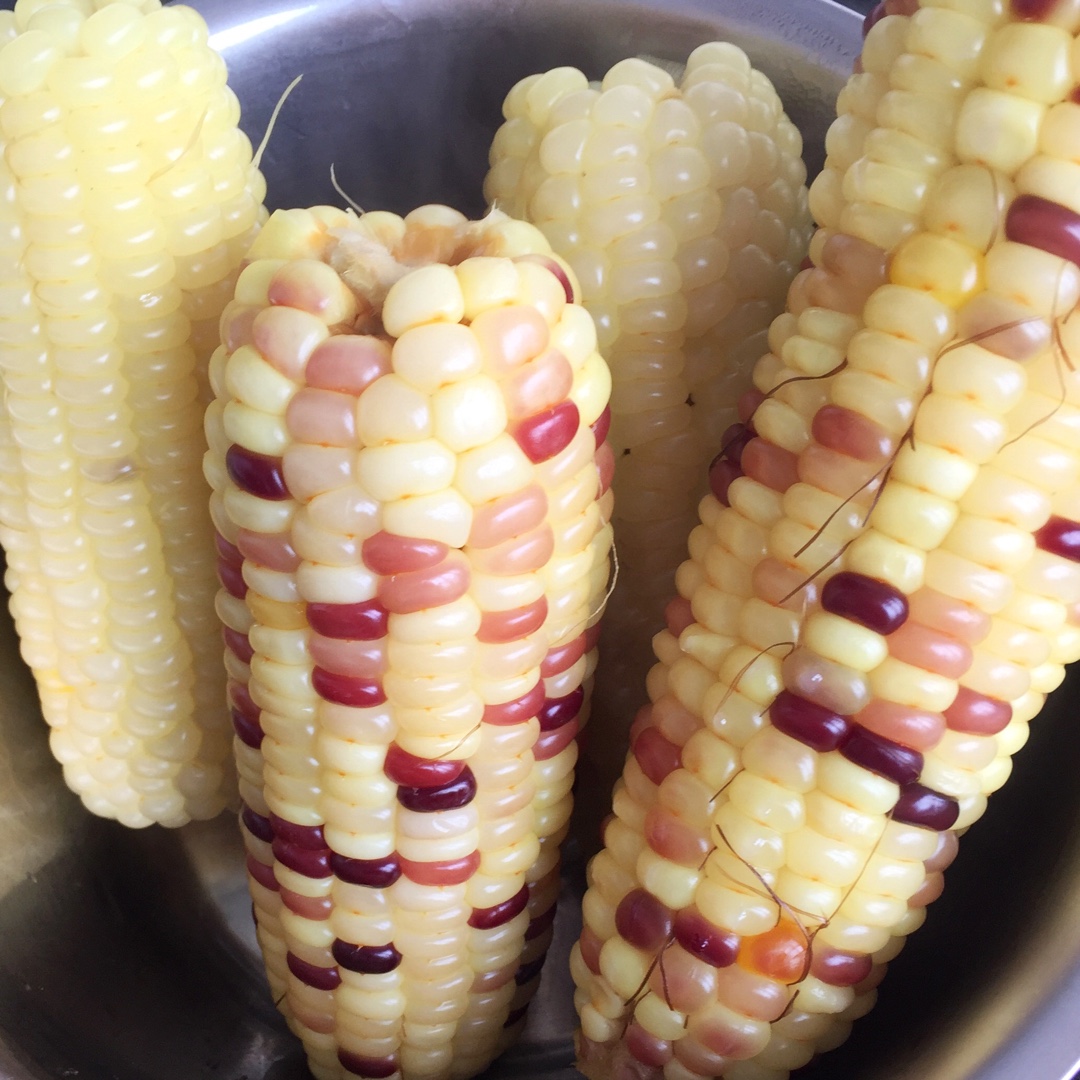 我得意地吃(˶‾᷄ ⁻̫ ‾᷅˵)