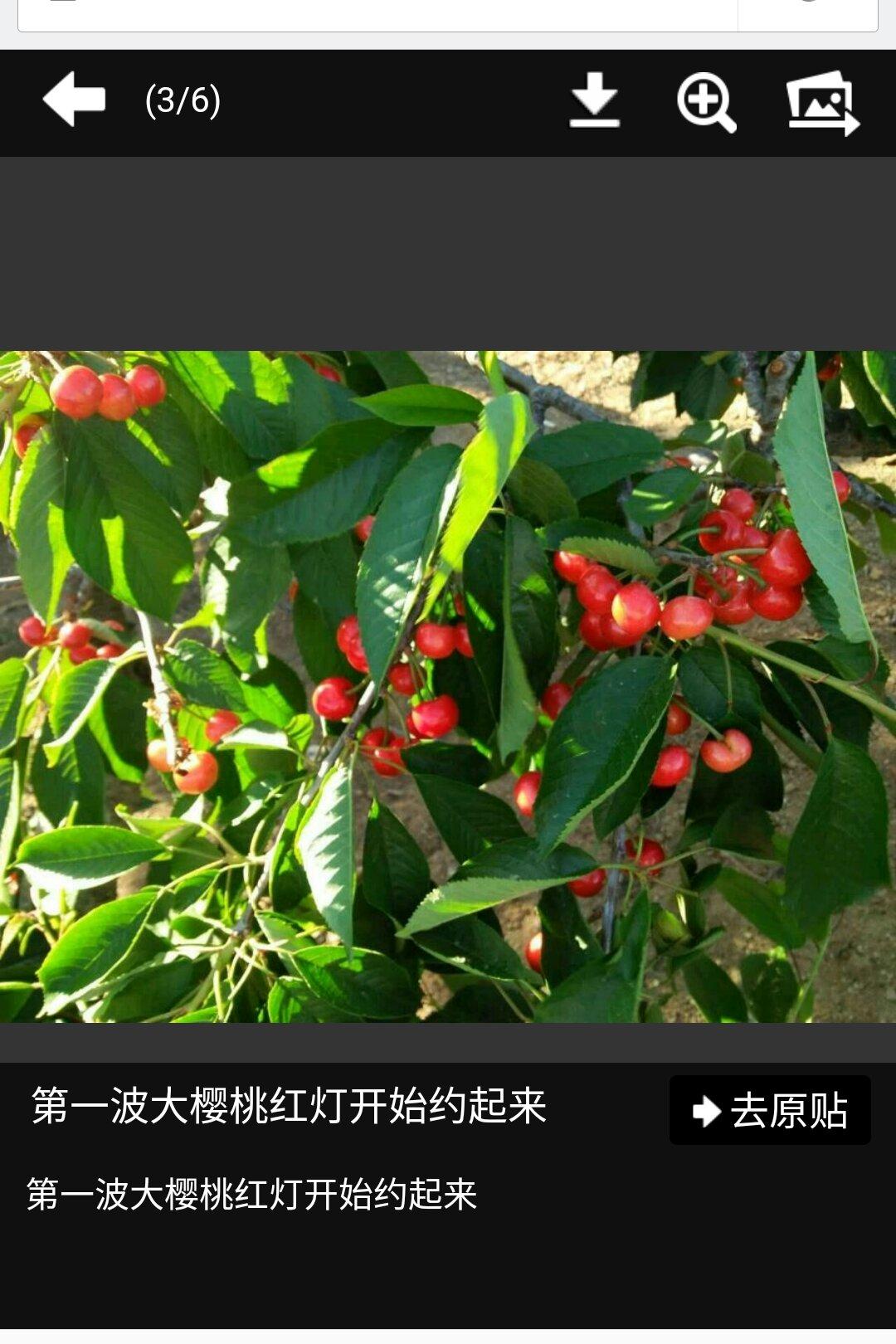 一口豆沙酥