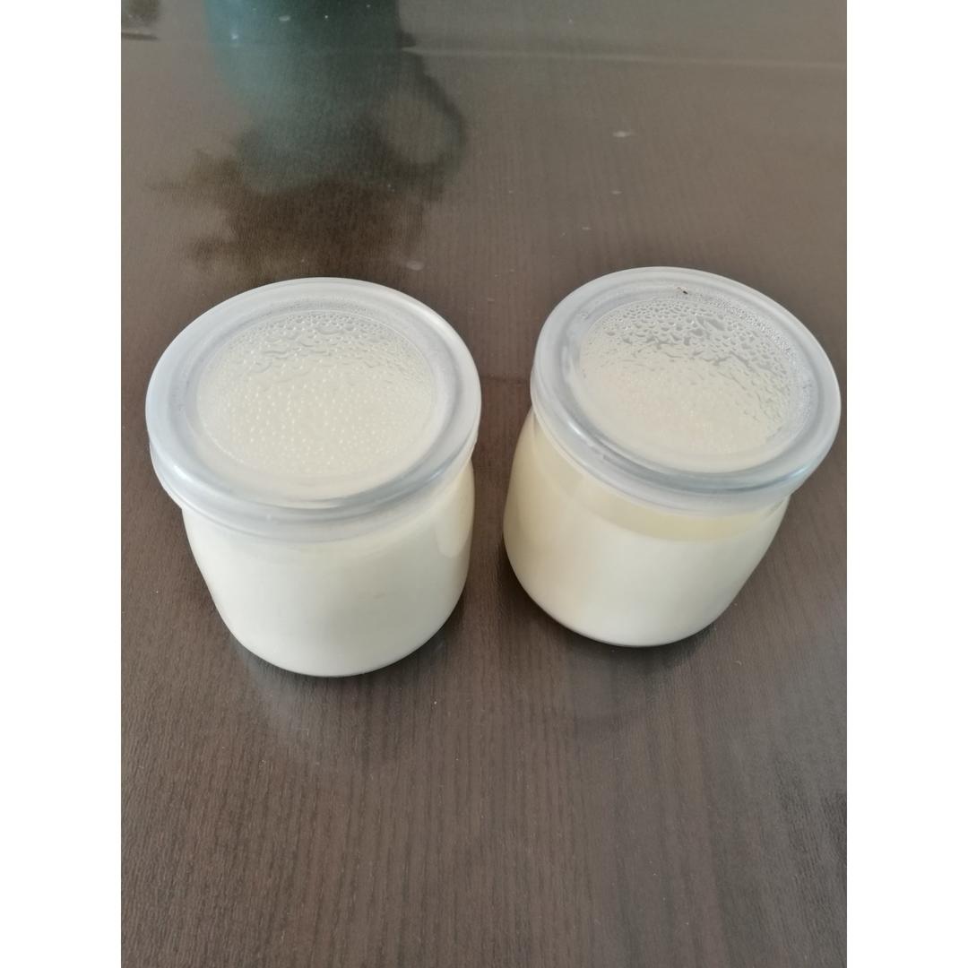 烤箱自制酸奶