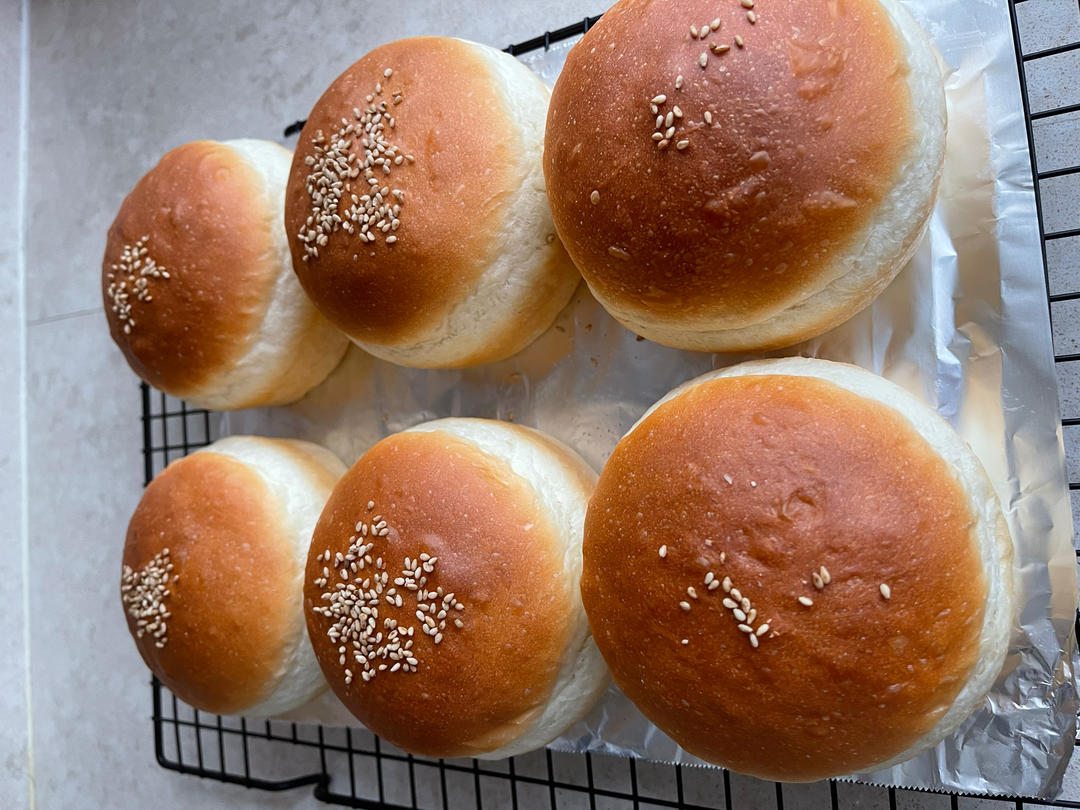 汉堡胚 poolish（波兰种）