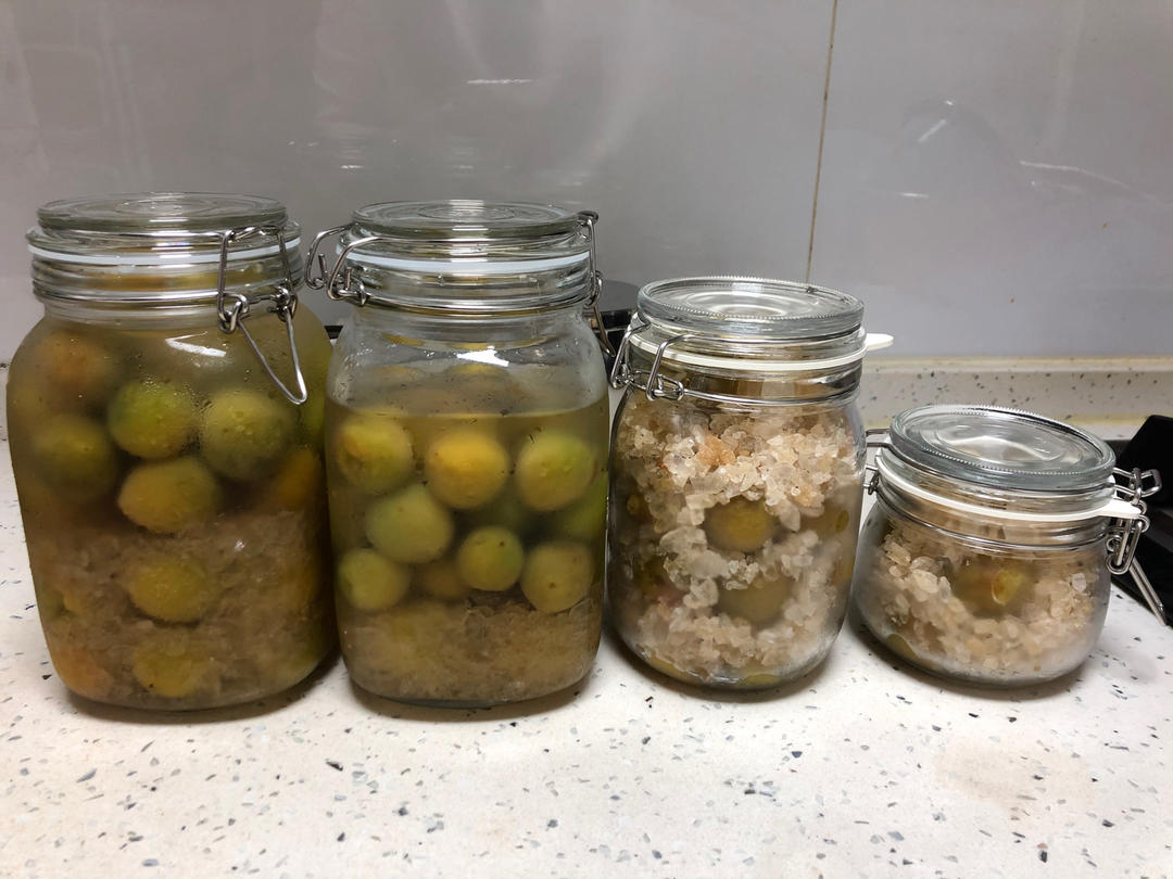 青梅记录/梅子酒/梅子醋/梅子露/盐渍