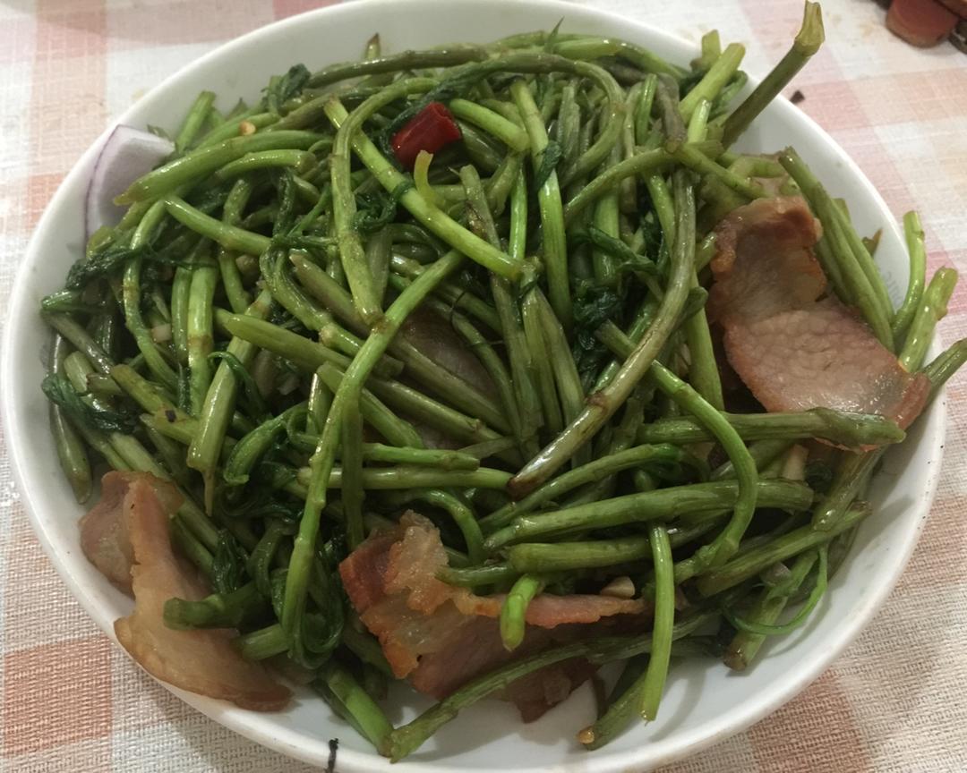 篱蒿炒腊肉