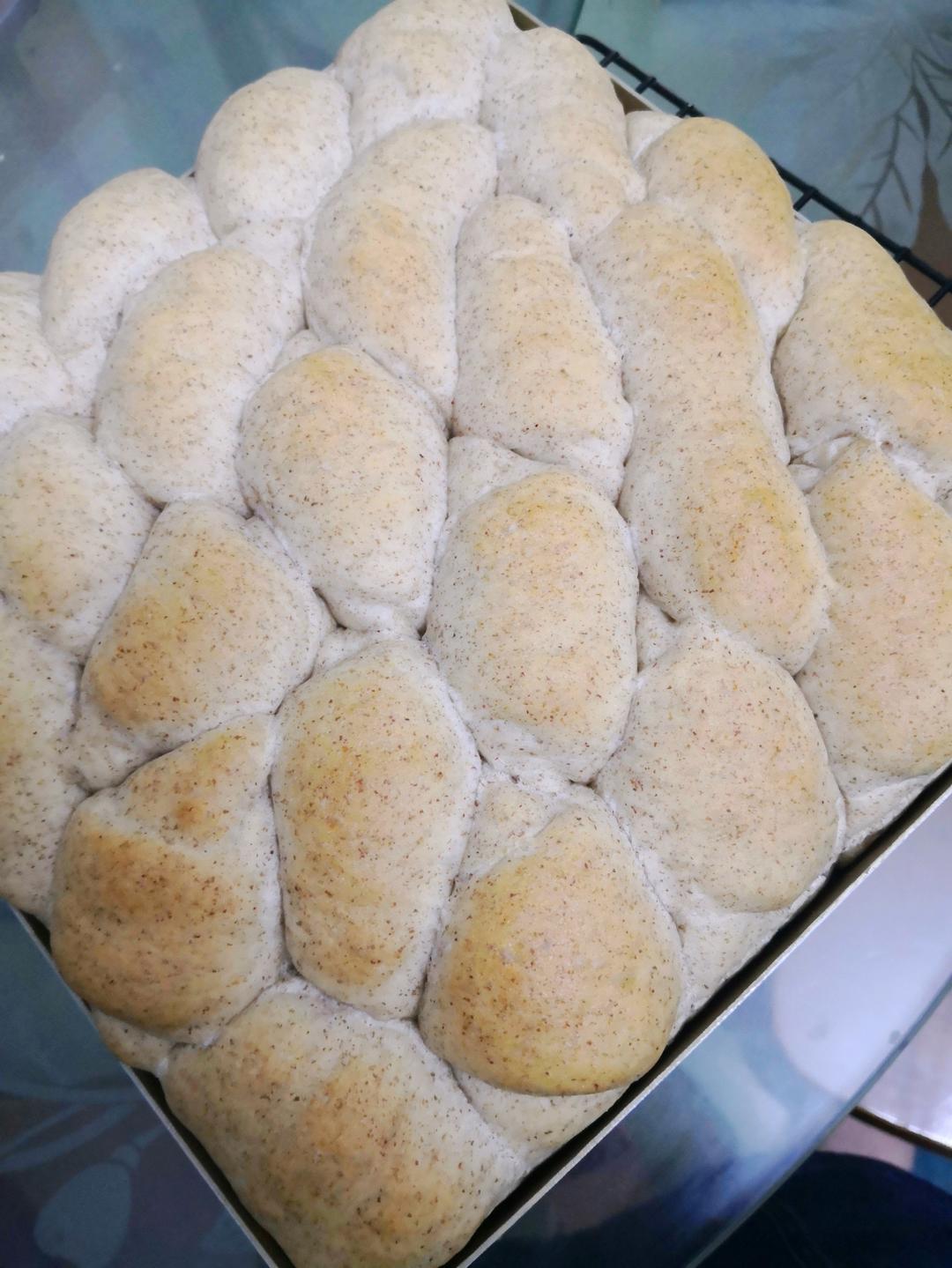 “揪揪家族”之全麦小揪揪