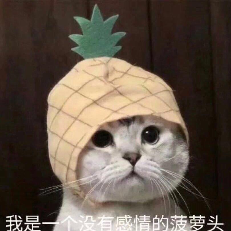 程序员转型厨师求关注