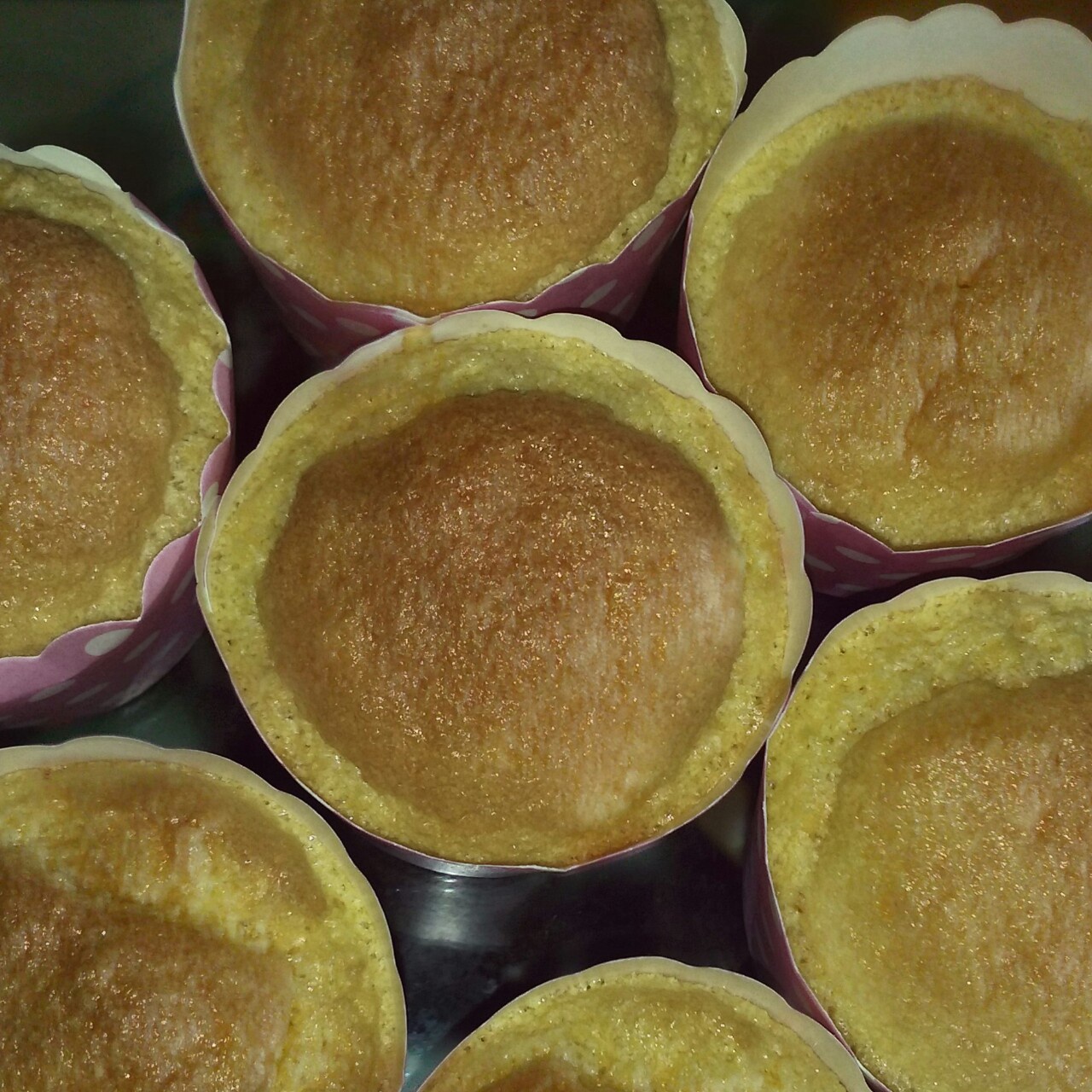 不会回缩的纸杯蛋糕--海氏烤箱定制