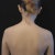 Delfin_Z