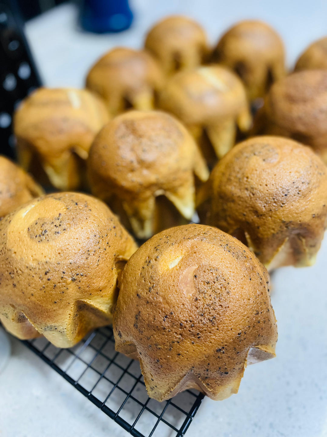 生椰拿铁小星星包