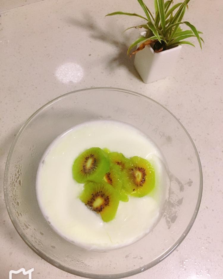 自制酸奶 德运奶粉酸奶