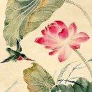 手机用户1878_lnta