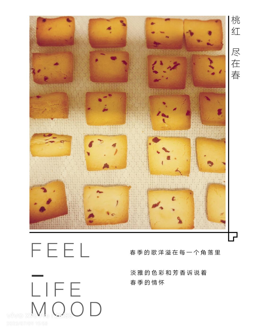 奶香浓郁酸甜酥脆的蔓越莓黄油曲奇