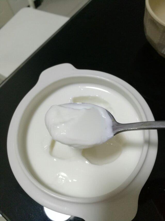 自制酸奶