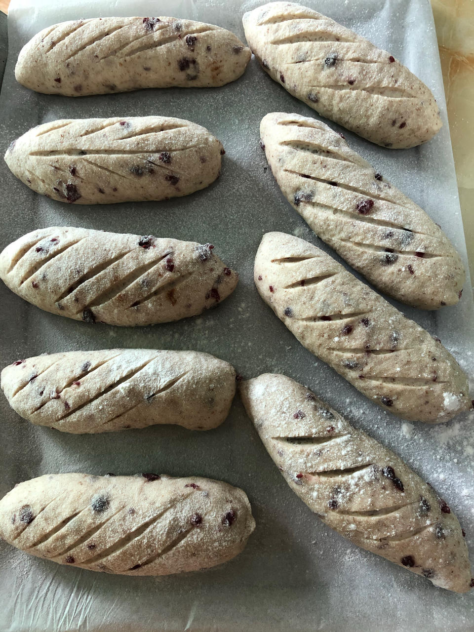 面包店里的常客——蔓越莓奶酪软欧