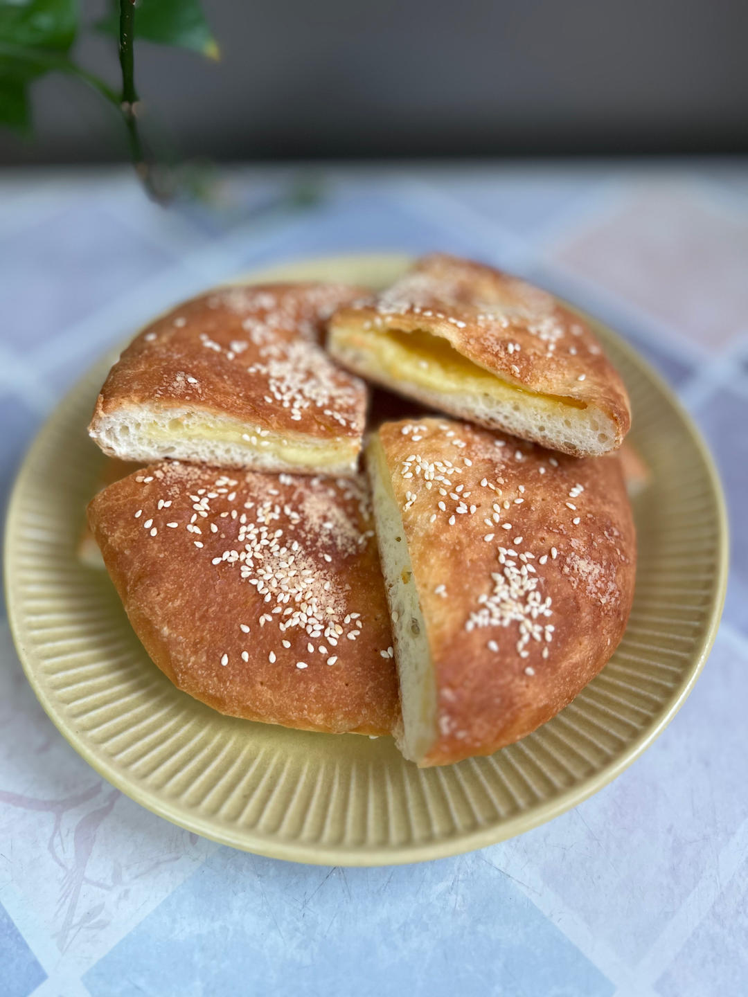 蒙古奶酪饼