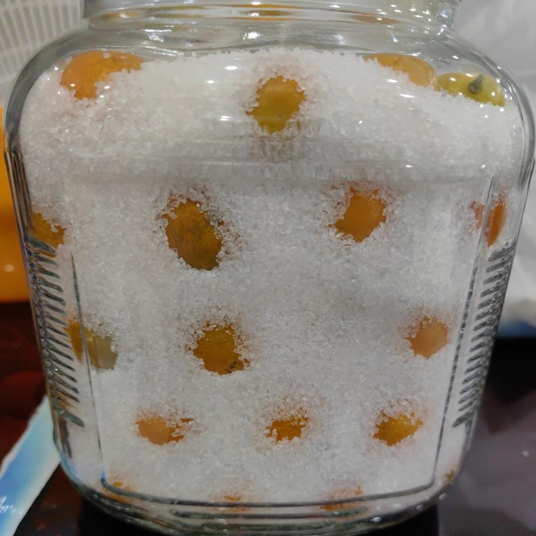 老中医推荐的止咳化痰咸金桔