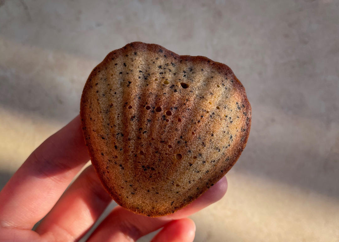 狐狸哥| 香气绝绝子：伯爵柠檬玛德琳