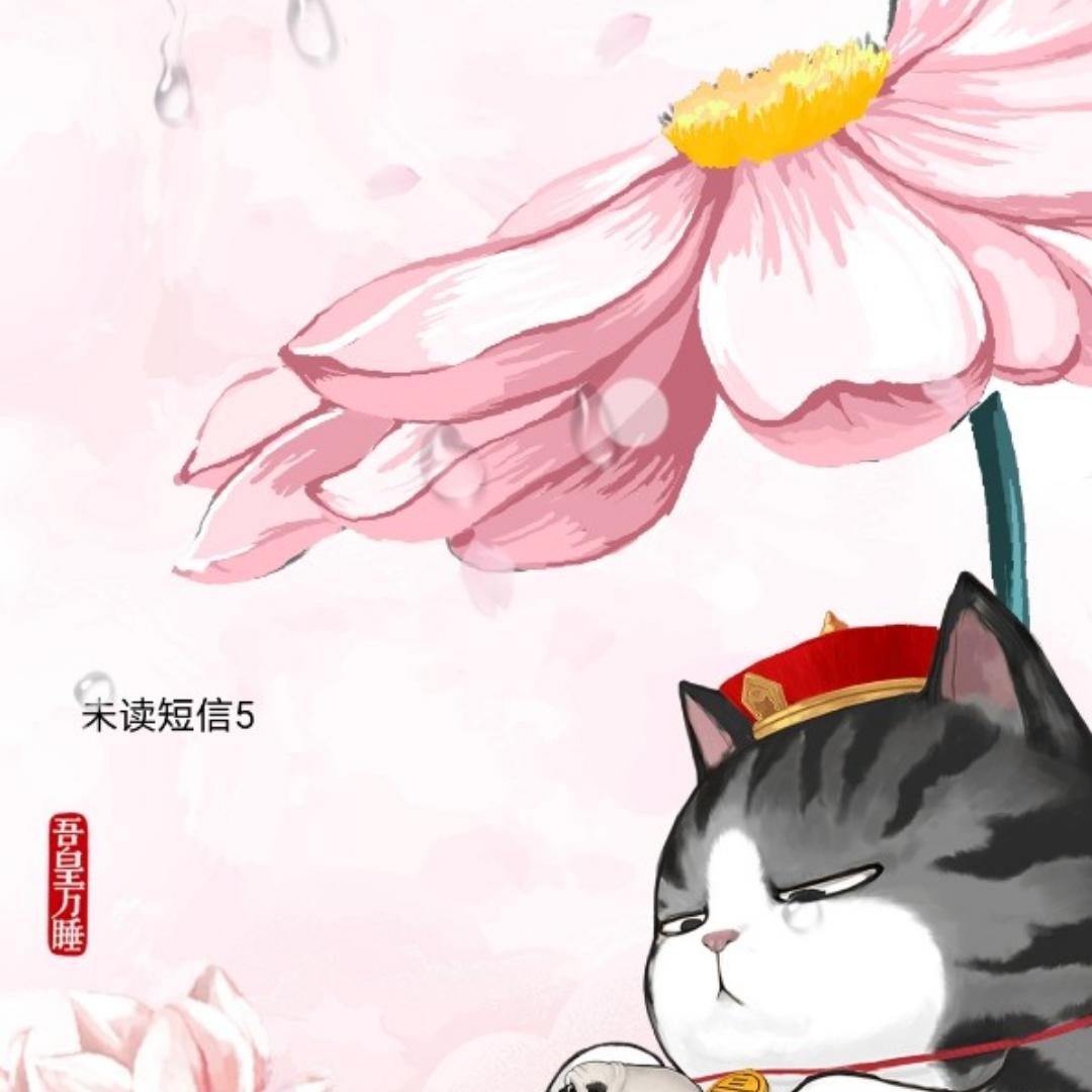 吾喵喵