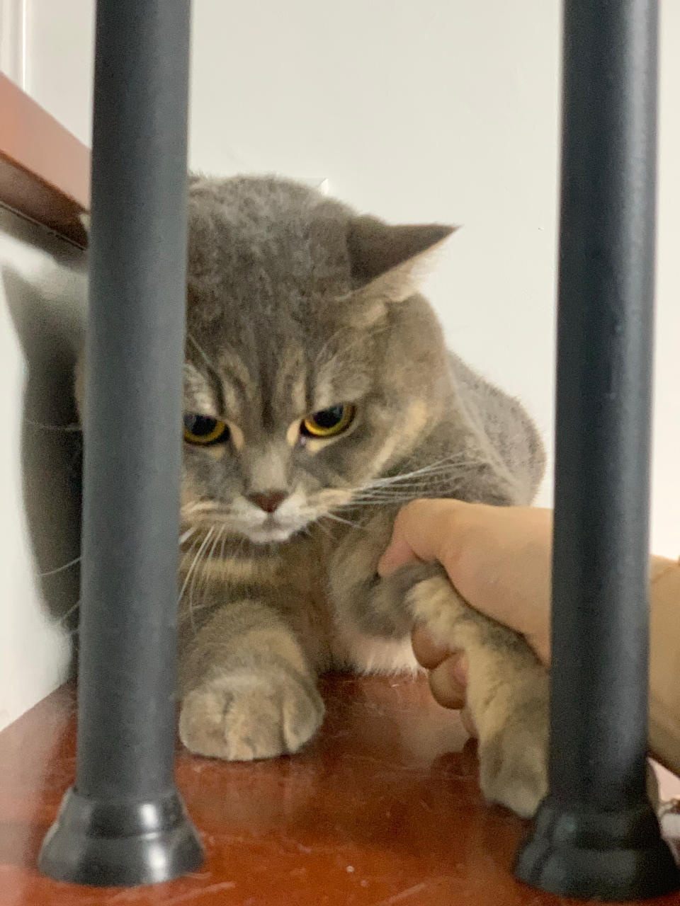 蒋蒋蒋蒋蒋不清楚